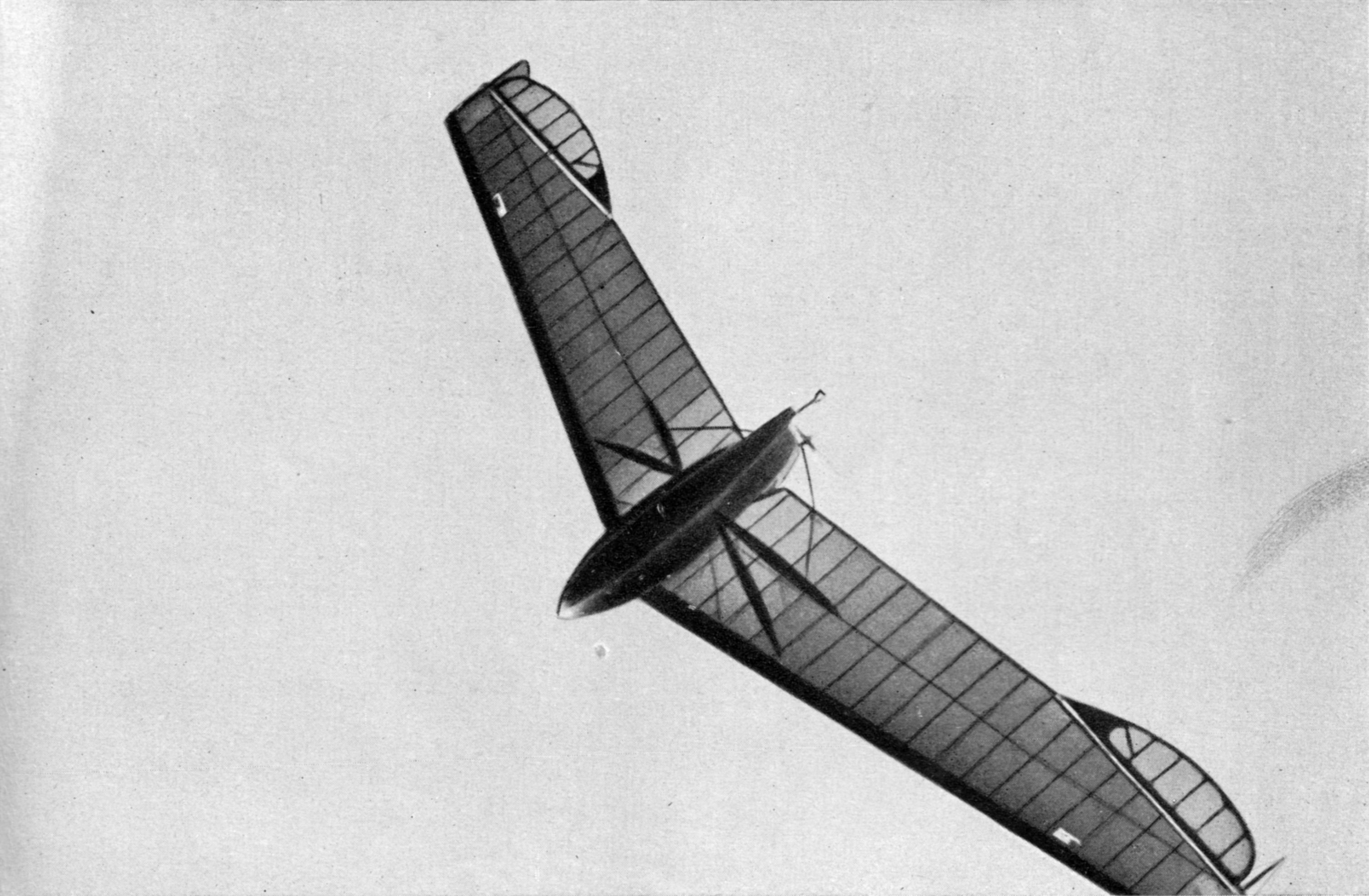 Das Segelflugzeug „Storch“ im Flug